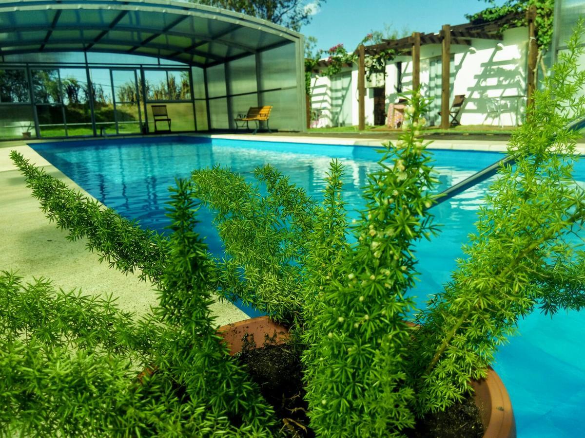 Complejo Juanjo Ramos Hotel Termas del Daymán Exterior foto